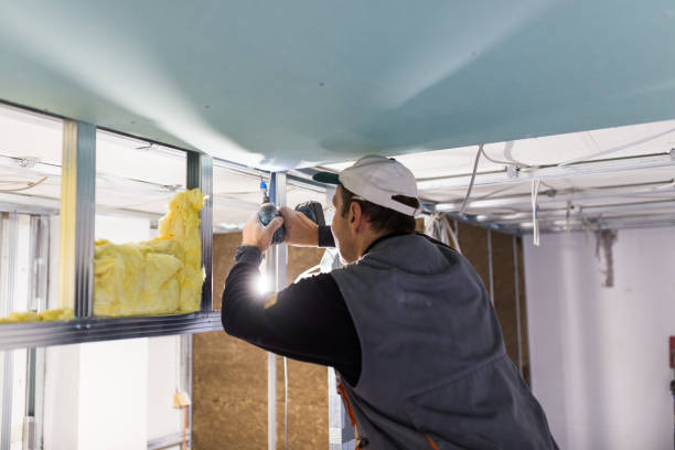 Best Spray Foam Insulation in Prince Frederick, MD