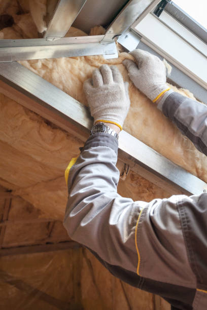 Best Eco-Friendly Insulation in Prince Frederick, MD