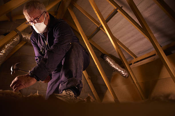 Types of Insulation We Offer in Prince Frederick, MD